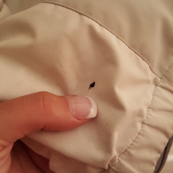 DC Snowboard Jacket - Picture 4 of 6